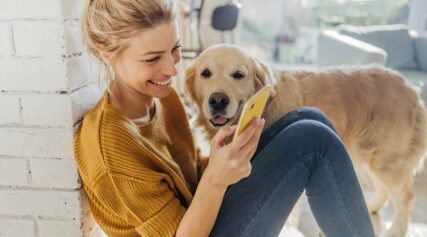 Best Loans Ireland